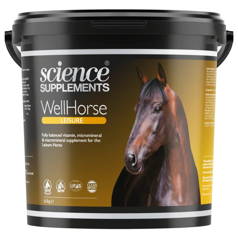 WellHorse Leisure - Image 2