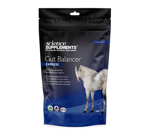 Gut Balancer Express