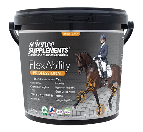 FlexAbility Professional
