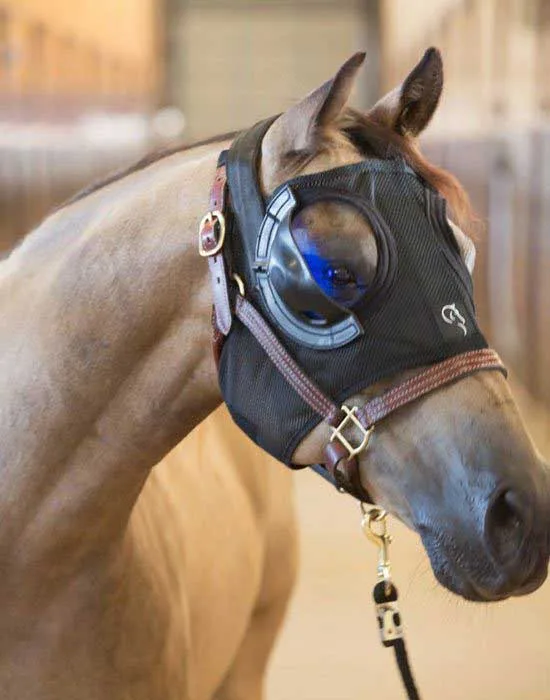 Belfield Light Mask