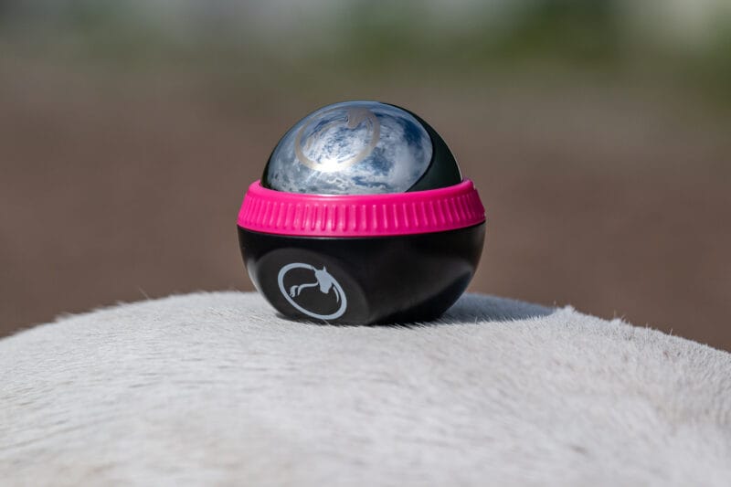equiball_pink
