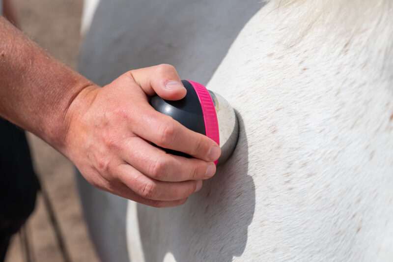 EquiBall - Image 7