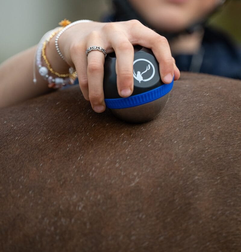 EquiBall - Image 4